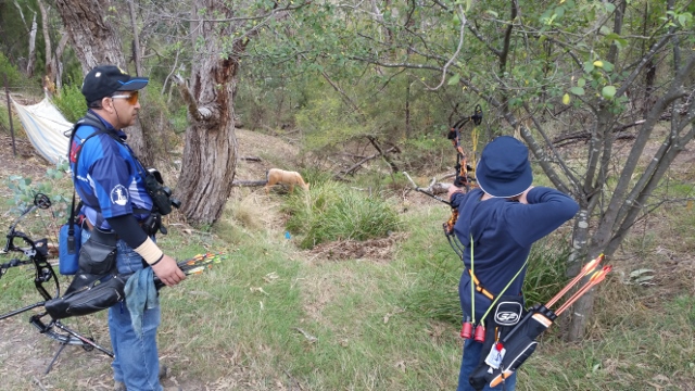 Diamond Valley Archers – Southern Series 2016